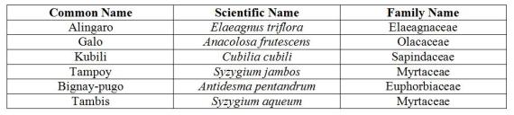 Plants common name species